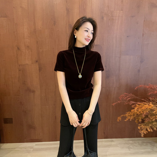 豆豆DH【丝绒T】半高领纯色T恤女士气质感减龄百搭短袖-26QT98