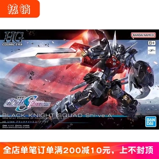 万代模型 HG 黑骑士小队 毁灭 SEED FREEDOM 剧场版高达拼装 现货