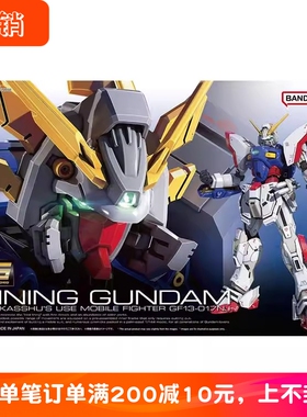 现货 万代 RG 1/144 闪光高达 机动武斗传G 多蒙卡修高达拼装模型