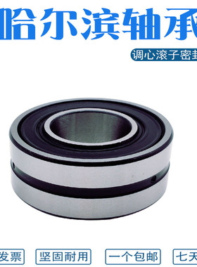 哈尔滨双面密封调心滚子轴承 BS2-2205 2206 2207 2208 2209-2CS