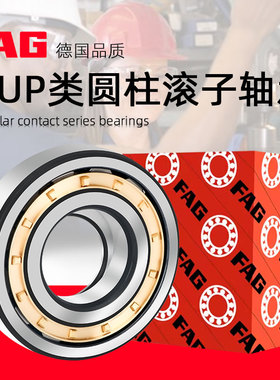 进口FAG圆柱轴承NU NJ 230 232 234 236 238 240 244-E-XL-M1-C3