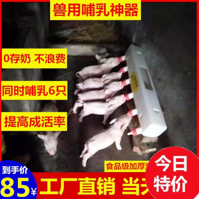 猪崽喂奶器小动物省时新生小猪仔崽小羊羔防咬喂养神器养猪场乳猪