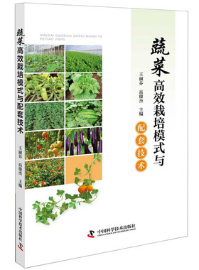 蔬菜高效栽培模式与配套技术 大棚种植 露地间作 无土栽培技术 茬口安排 水肥管理 病虫害防控 蔬菜种植提质增效的实用参考指南