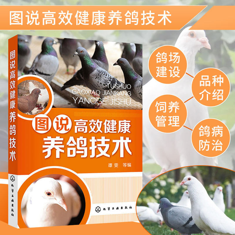 图说高效健康养鸽技术养鸽子书籍鸽子养殖技术书大全与疾病防治技术书养鸽子书籍鸽场经营管理书籍饲料配制饲养管理常见病诊治书
