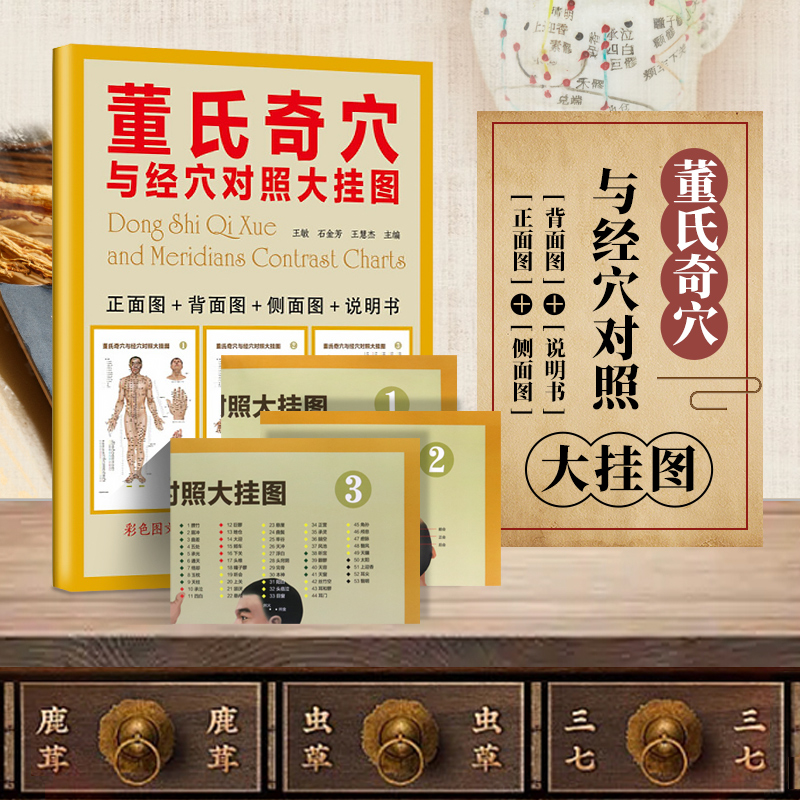 董氏奇穴与经穴对照大挂图