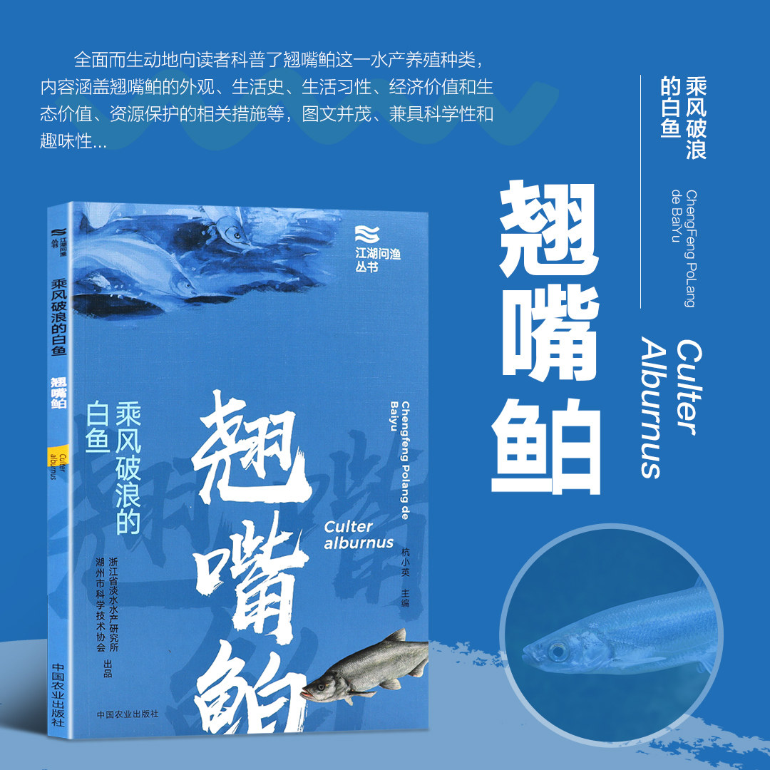 乘风破浪的白鱼 翘嘴鲌 白鱼人工繁殖养殖技术 白鱼养殖流程技术手册 育苗育种水质调控 病害防治 白鱼生态养殖技术 病害防控饲料