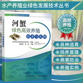 河蟹绿色高效养殖技术与实例 螃蟹养殖技术高效养螃蟹河蟹高效养殖与疾病防治技术螃蟹大闸蟹河蟹饲养技术与疾病防治水产养殖书籍