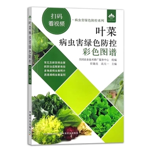 农药安全使用指导书 叶菜病虫害绿色防控彩色图谱 蔬菜病虫害鉴别图谱 叶菜类蔬菜栽培技术书籍 种植规模管理 病虫害绿色防控系列
