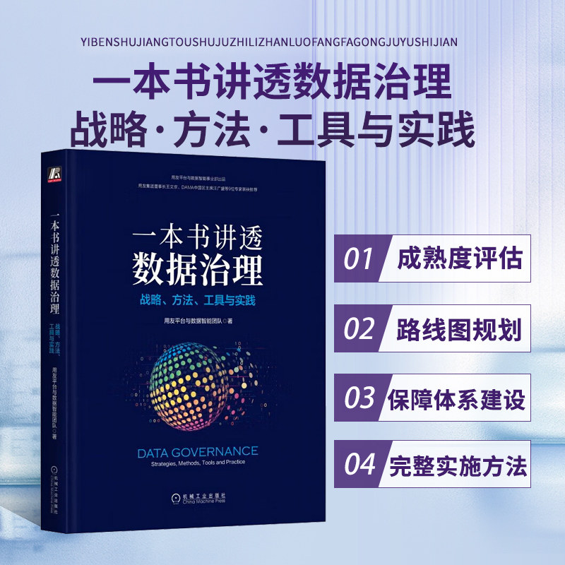一本书讲透数据治理战略方法工具与实践 企业数字化转型书籍 数据治理战略规划落地实施主数据管理数据安全治理DAMA数据管理书籍