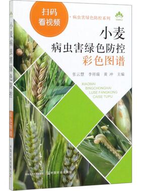 正版书籍 小麦病虫害绿色防控彩色图谱 病虫害绿色防控系列 小麦病虫害绿色防控 麦田管理书 小麦生长异常诊治 9787109261488