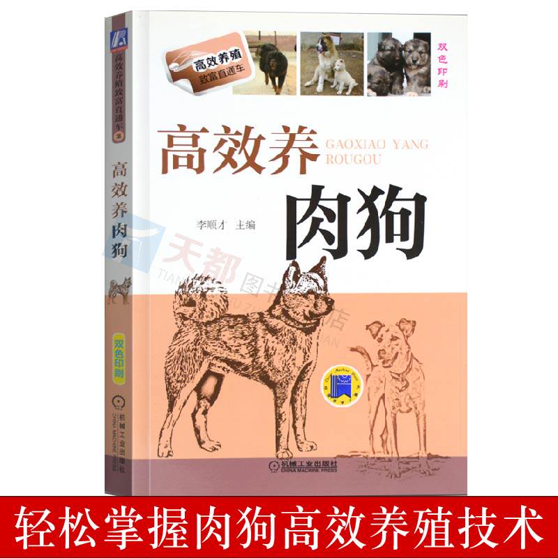 正版现货 高效养肉狗 养狗书籍 养狗技术大全 肉狗高效养殖技术书籍 肉狗养殖教程技术书 肉狗的饲养管理 肉狗疾病防治 肉狗场经营