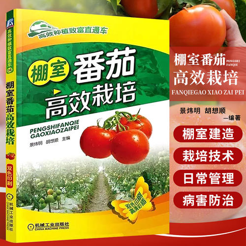 现货 高效种植番茄 西红柿栽培技术大全书 大棚蔬菜栽培教程 番茄病虫害防治技术书 种番茄入门到精通 图解种西红柿养殖教材书籍