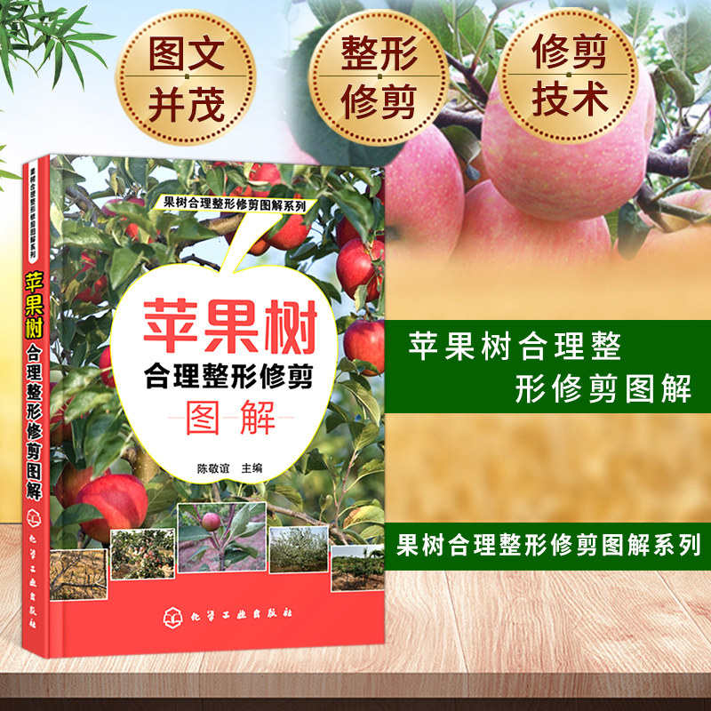 现货 苹果树合理整形修剪图解苹果树种植栽培技术书苹果树修剪技术书