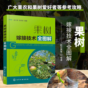 果树嫁接技术全图解 赵兰英、雷世俊 编著 著 种植业 专业科技 化学工业出版社 9787122375223 图书
