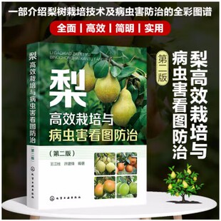 梨高效栽培与病虫害看图防治 第二版 王江柱 高标准建设梨园 土肥水管理整形修剪花果管理 低效梨树高接改造 梨树种植合作社参考书