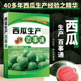 现货 西瓜生产百事通西瓜种植书籍西瓜种籽大瓜无子西瓜种籽选苗育种书大棚西瓜种植书籍西瓜栽培技术西瓜种植技术书
