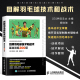 正版 图解羽毛球技术和战术 基础训练200项新手学羽毛球动作技巧羽毛球快速入门图解教程羽毛球实战技巧教学羽毛球训练教程书籍