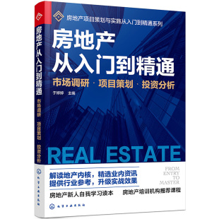 项目策划 市场调研 投资分析 于婷婷 企业投资风险分析评估市场营销书 正版 房地产项目策划与实施书籍 房地产从入门到精通