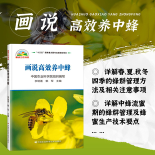 正版画说高效养中蜂 中华蜜蜂 中蜂饲养技术 中蜂病虫害防治技术 蜂群管理 中蜂流蜜期 蜂蜜生产技术