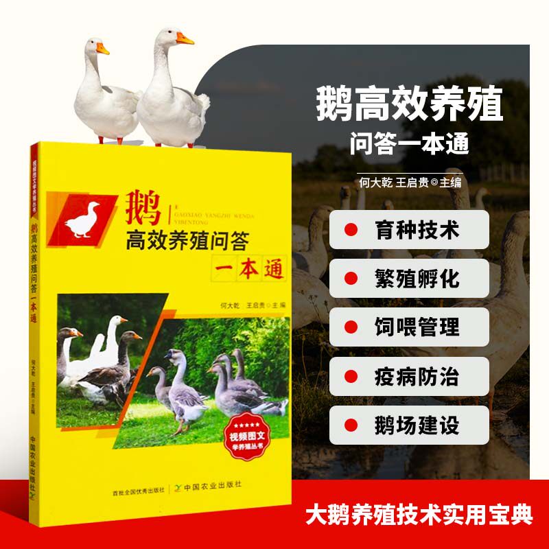 鹅高效养殖问答一本通 鹅的优良品种 育种技术与良种繁育体系 繁殖与孵化技术 肉用仔鹅生产疫病防治 养鹅技术大全书籍养鹅书