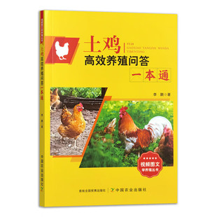 土鸡高效养殖问答一本通 土鸡饲养殖管理技术 土鸡疾病防治技术 种鸡繁育 种蛋孵化 土鸡营养与饲料配制 养鸡技术大全 鸡病防治书