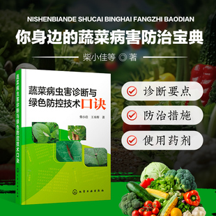 蔬菜病虫害诊断与绿色防控技术口诀王本辉编蔬菜病虫害诊断治疗蔬菜病虫害防治措施蔬菜施肥原理与技术蔬菜种植技术蔬菜种植书籍