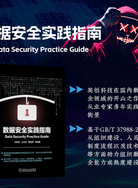 正版书籍 数据安全实践指南 刘隽良 王月兵 覃锦端 计算机安全与密码学书籍 基于DSMM相关实践和自评提供实践指南 大数据基本概念