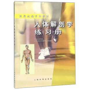 人体解剖学练习册 体校 人体结构概述 解剖学定位术语 人体运动的执行体系 人体运动的调节体系 人体运动的保障体系 神经系统概述