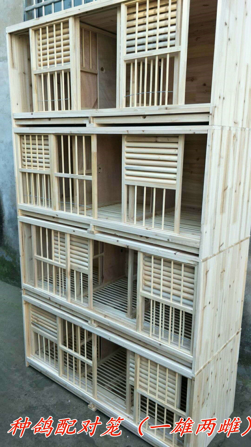 赛鸽巢箱 种鸽配对笼 一雄两雌配对笼 木质鸽笼 鸽舍建造