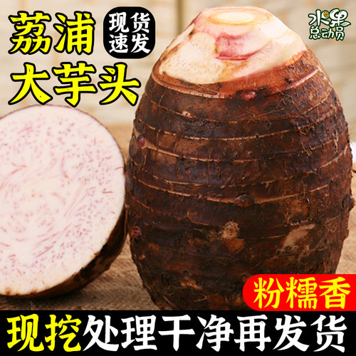 新鲜现挖广西荔浦大芋头粉糯香