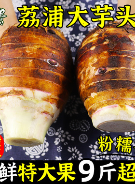 广西荔浦新鲜大芋头现挖正宗粉糯香芋净重9斤槟榔芋艿紫藤毛芋