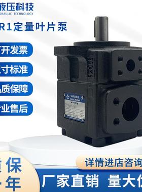 新款叶片泵PV2R1-10 12 14 17 19 23 252831-F-1R液压油泵PV2包邮