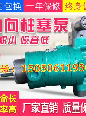 新款10PCY25PCY40PCY63PCY80PCY100PCY160PCY250PCY14-1B轴向包邮