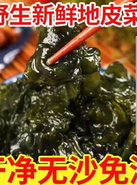 新货地软地皮菜野生免洗干货地衣菜新鲜地达菜特产地耳