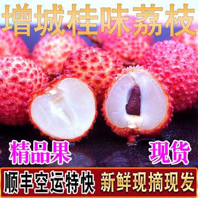 正宗增城桂味荔枝新鲜活顺丰空运