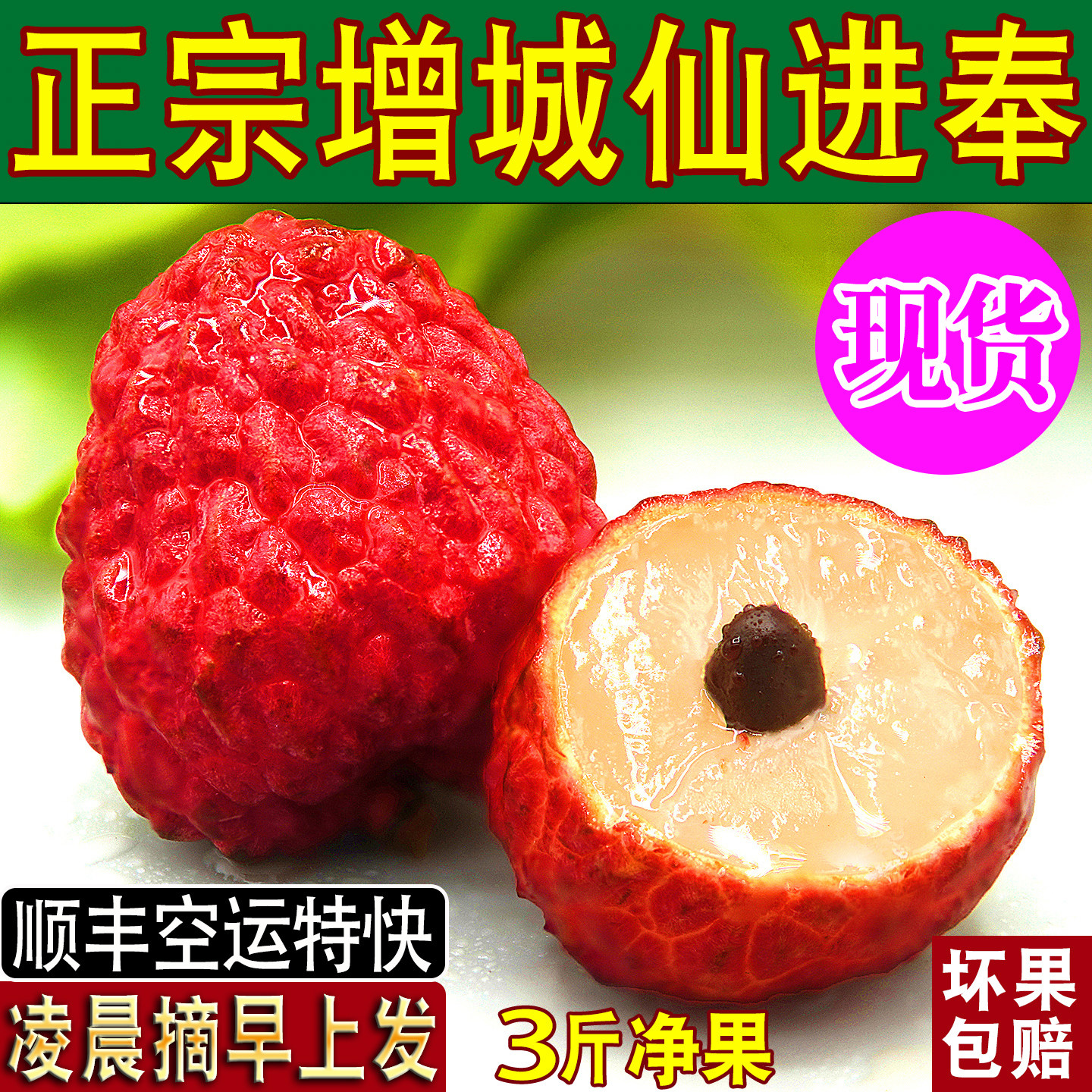 增城仙进奉荔枝新鲜活顺丰空运