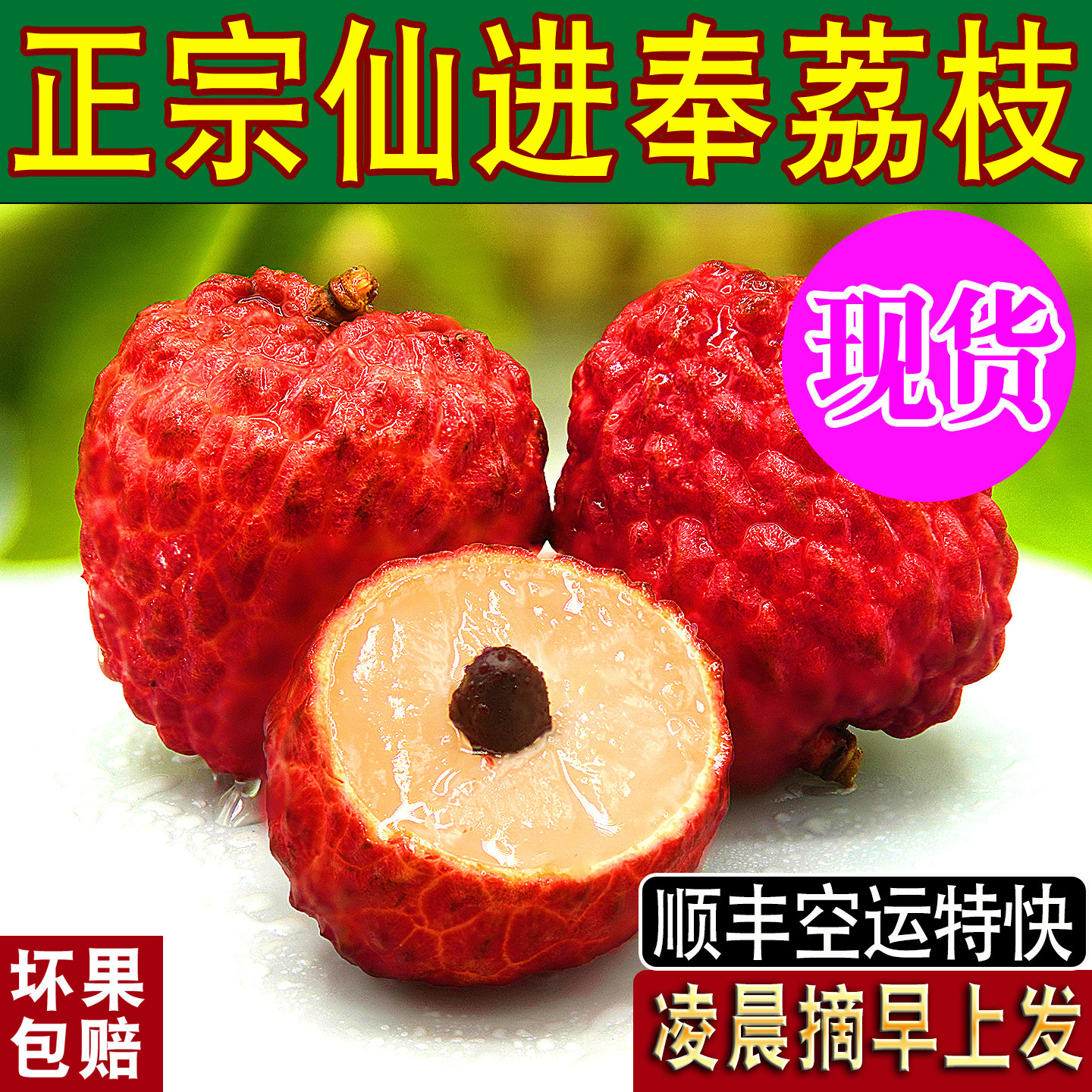 正宗仙进奉荔枝新鲜活顺丰空运