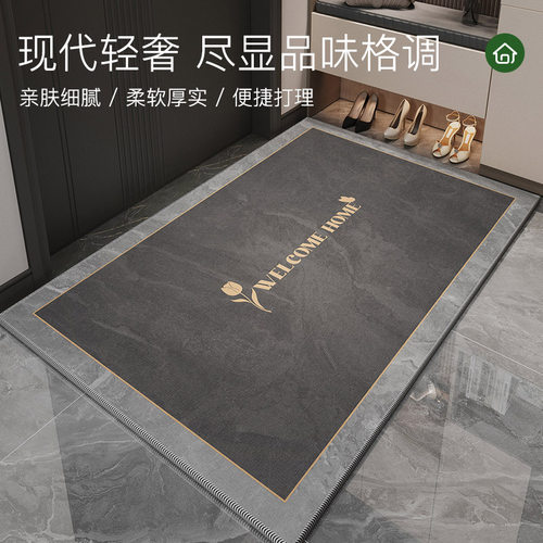 地垫入户门进门地毯圈绒门口家用门垫防滑客厅轻奢高级脚垫可裁剪