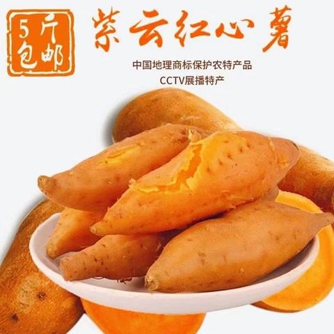 新鲜现挖贵州紫云红心薯红薯小红薯板栗番薯小香薯生山芋农家自种