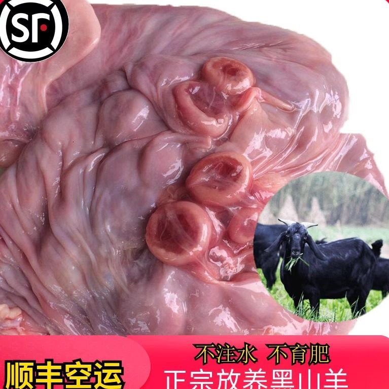 新鲜羊胎盘羊房子紫河车羊仔内羊包衣农家散养黑山羊肉羊胎衣包邮,水产肉类/新鲜蔬果/熟食,生羊肉,淘宝优惠券,粉丝福利购,淘宝优惠卷