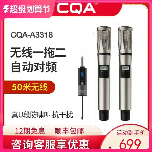 CQA3318无线专业话筒一拖二网红歌手可充电麦克风声卡音箱可通用