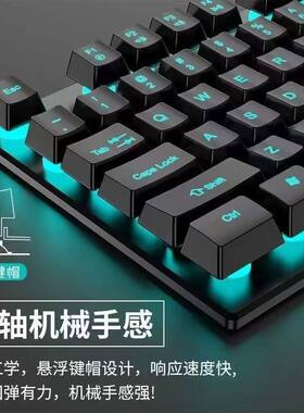 静音机械手感有线电脑键盘滑鼠套组笔记本通用游戏三件套键鼠办公