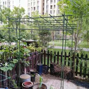 葡萄百香果爬藤架庭院户外丝瓜黄瓜架植物瓜棚支撑杆月季蔷薇花架