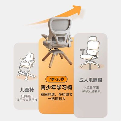 中小学生学习椅可升降儿童书桌写字椅青少年初高中生专用工学座椅