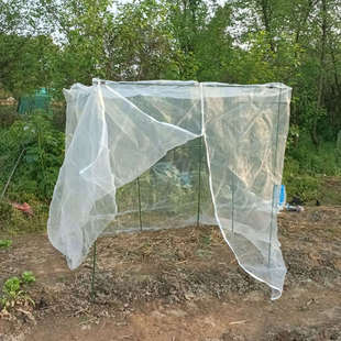 植物保护罩 防虫网纱网罩种菜防虫网罩 花盆保护罩花保护罩防鸟罩