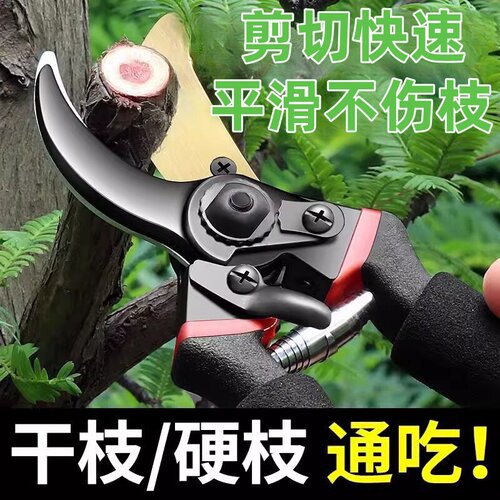 新款工艺钢SK5修枝剪省力家用果树园林粗枝剪嫁接花艺园艺剪工具