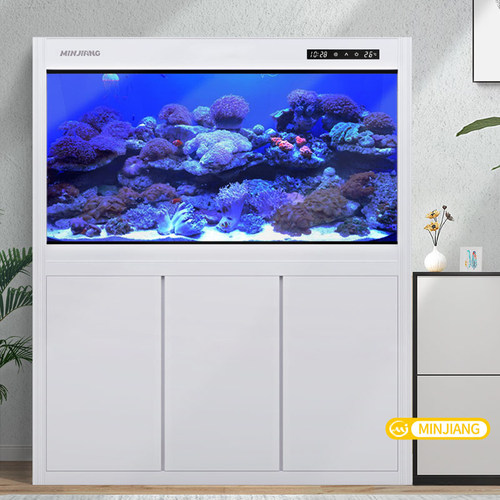 闽江新款客厅鱼缸家用生态水族箱