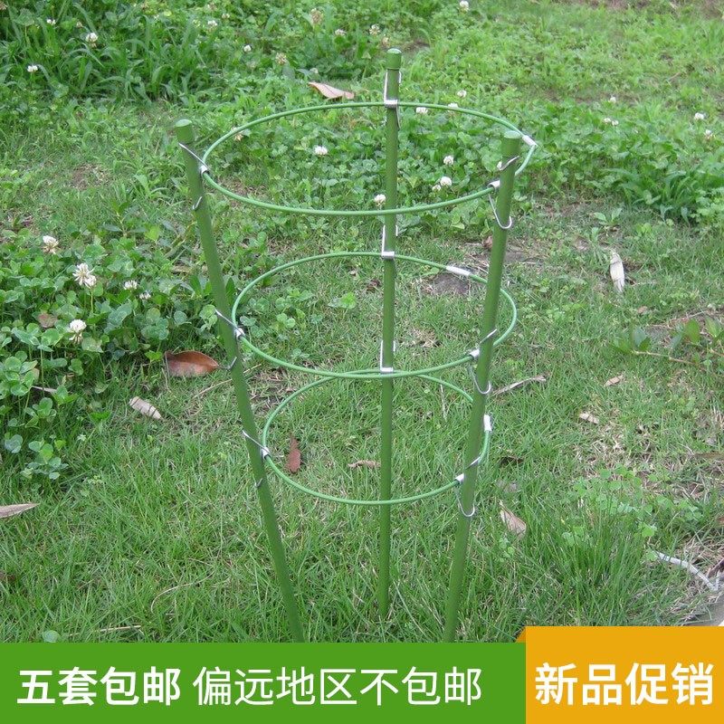 花支柱园艺支架铁环花支架爬藤攀援藤蔓植物支架番茄花盆支架架子|ruв категории доставка цветов/цветок моделирования/растения садоводства, садовых принадлежностей, других садовых принадлежностей - от Buy2taobao.com для оказания профессиональной услуги покупки агента Taobao
