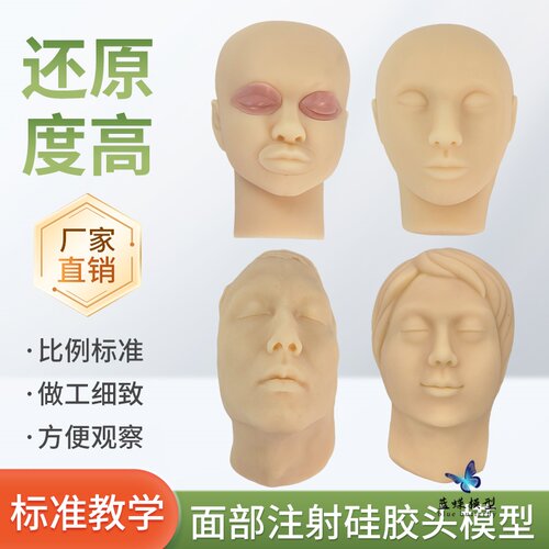 蓝蝶模型硅胶面部注射头人体教学