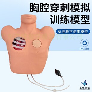 胸腔穿刺引流模型 人体胸腔穿刺训练模拟人 气胸液胸闭式处理模型